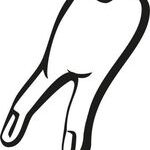 Zahnarztpraxis Dr. J. Finger MSc